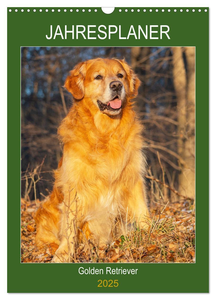 Cover: 9783435960002 | Jahresplaner Golden Retriever (Wandkalender 2025 DIN A3 hoch),...