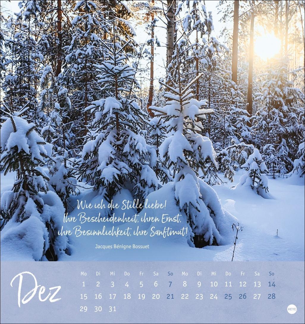 Bild: 9783756407118 | Unser Wald Postkartenkalender 2025 - zauberhafter Ort der Kraft | Heye