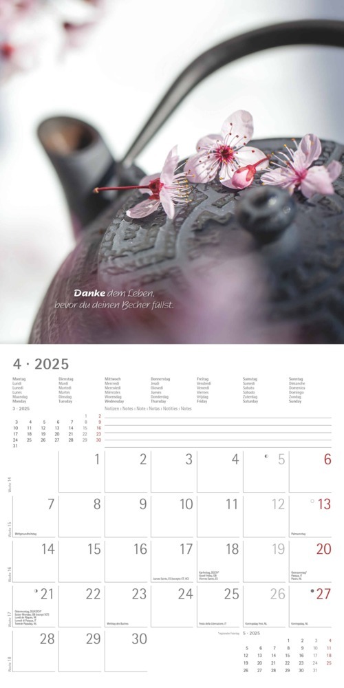 Bild: 4251732340858 | Alpha Edition - Zen 2025 Broschürenkalender, 30x30cm, Wandkalender...