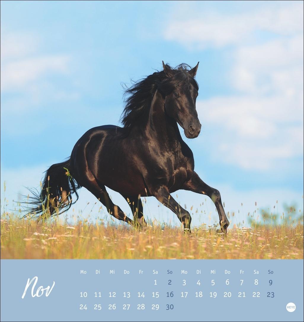 Bild: 9783756407040 | Pferde Postkartenkalender 2025 - Starke Freunde | Kalender | 13 S.