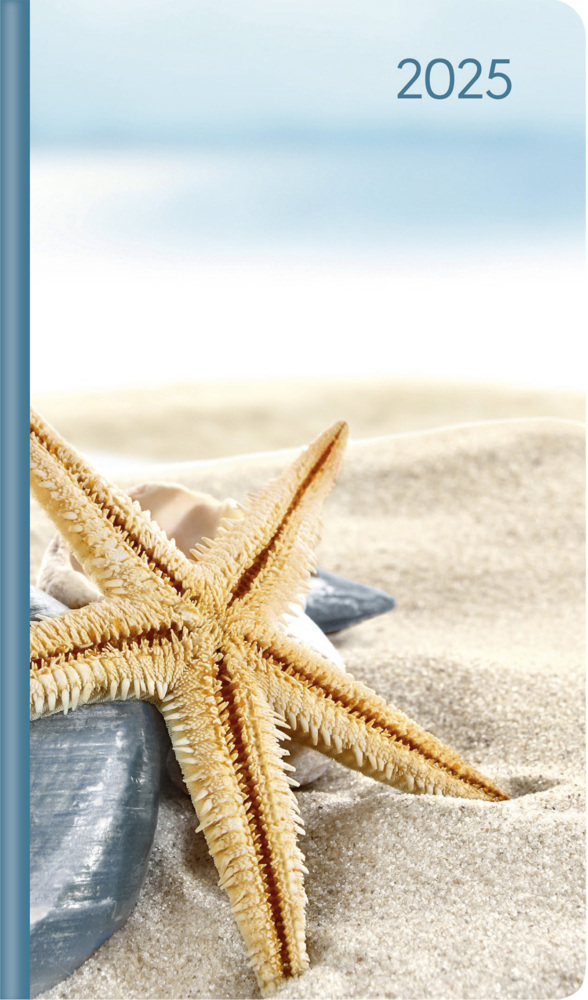 Cover: 4251732343736 | Alpha Edition - Ladytimer Slim Sea Star 2025 Taschenkalender,...