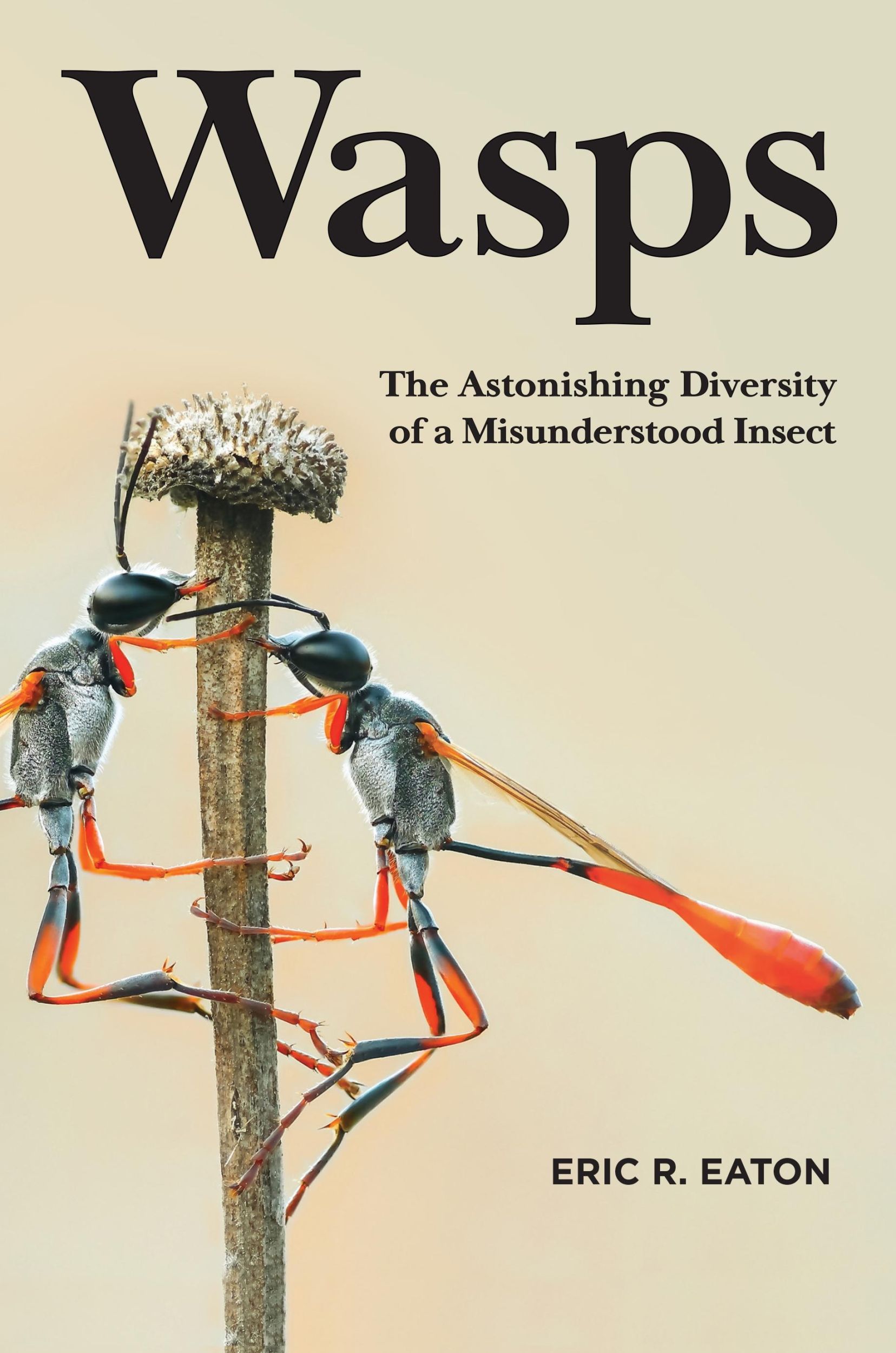 Cover: 9780691211428 | Wasps | The Astonishing Diversity of a Misunderstood Insect | Eaton