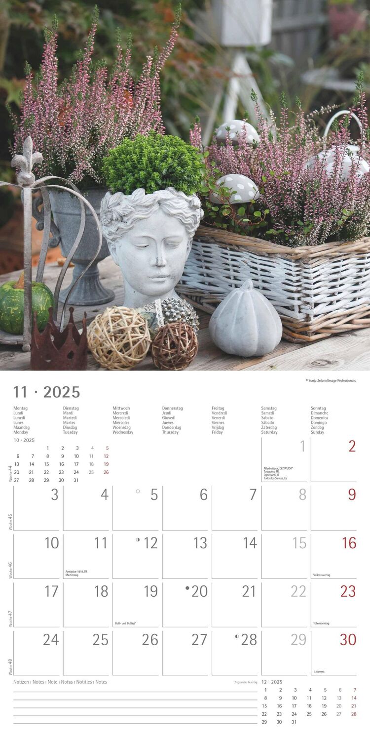 Bild: 4251732340636 | Garden &amp; Decoration 2025 - Broschürenkalender 30x30 cm (30x60...