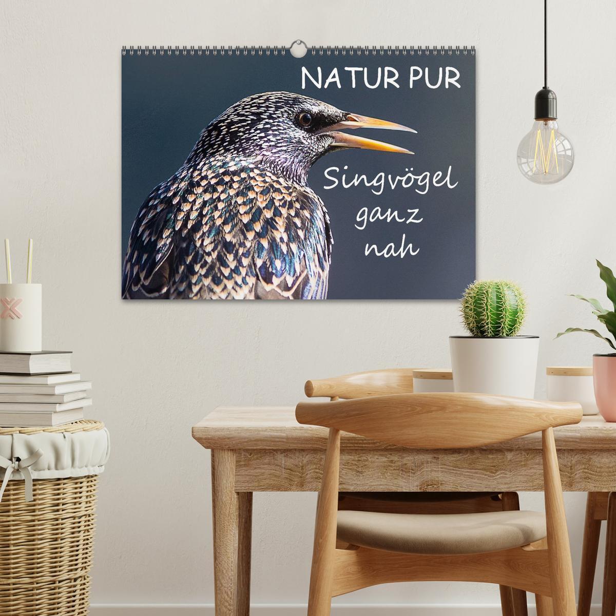 Bild: 9783435728817 | NATUR PUR - Singvögel ganz nah (Wandkalender 2025 DIN A3 quer),...