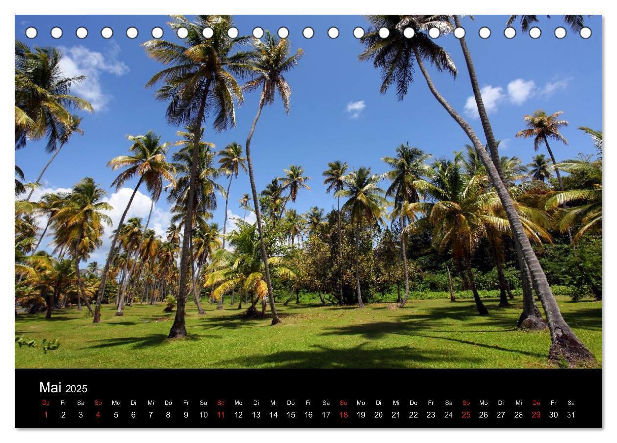 Bild: 9783435809394 | Trinidad &amp; Tobago (Tischkalender 2025 DIN A5 quer), CALVENDO...