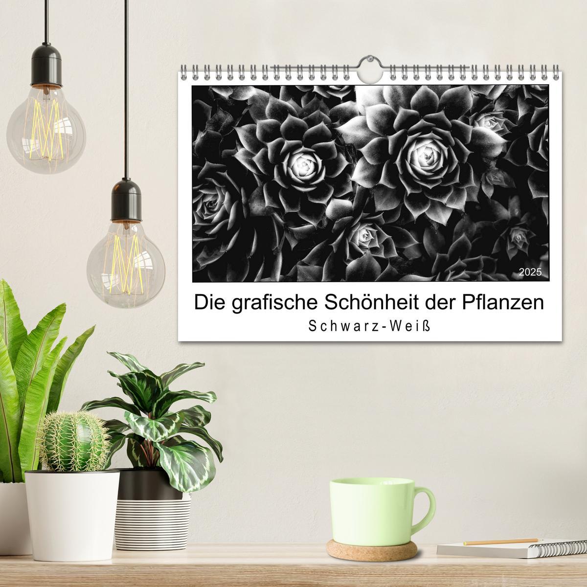 Bild: 9783435441020 | Die grafische Schönheit der Pflanzen ¿ Schwarz-Weiß (Wandkalender...