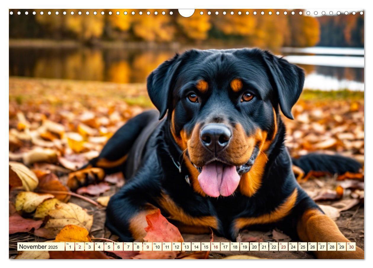 Bild: 9783457128688 | Rottweiler - die Beschützer (Wandkalender 2025 DIN A3 quer),...