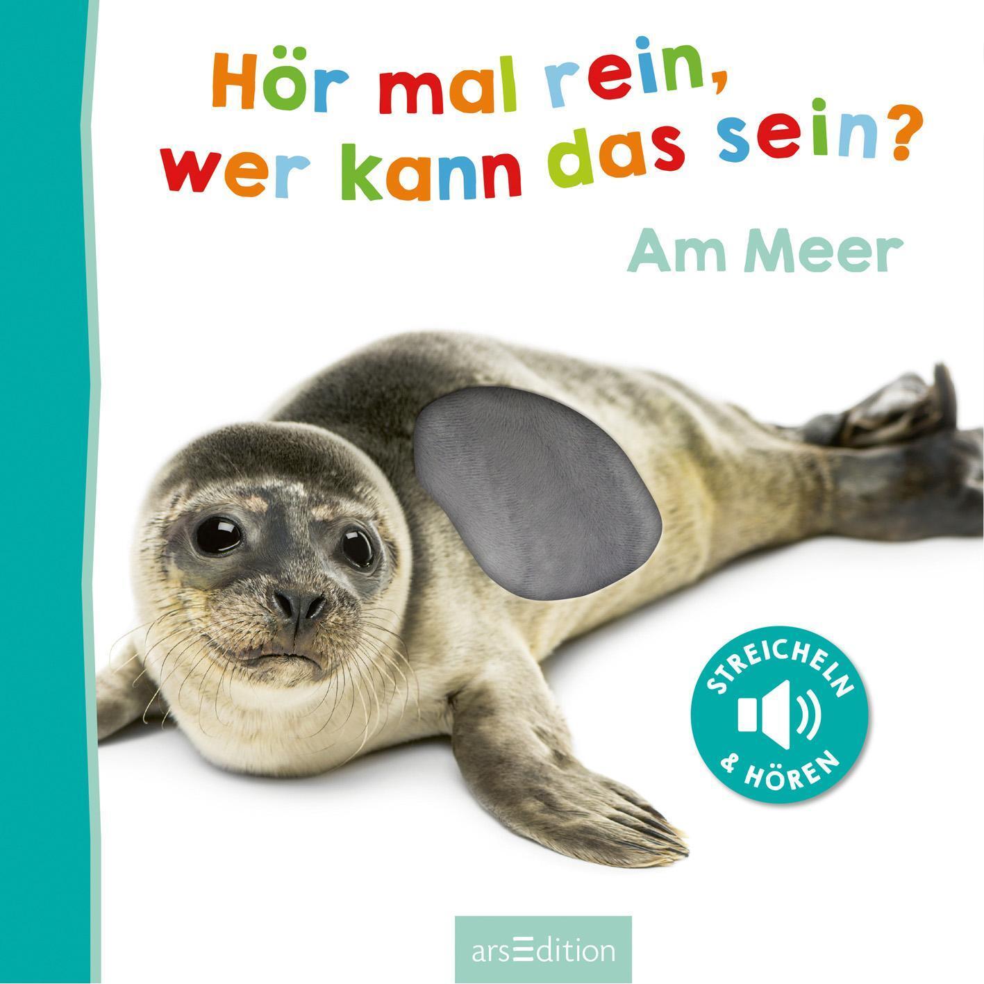 Bild: 9783845818207 | Hör mal rein, wer kann das sein? Am Meer | Buch | 12 S. | Deutsch