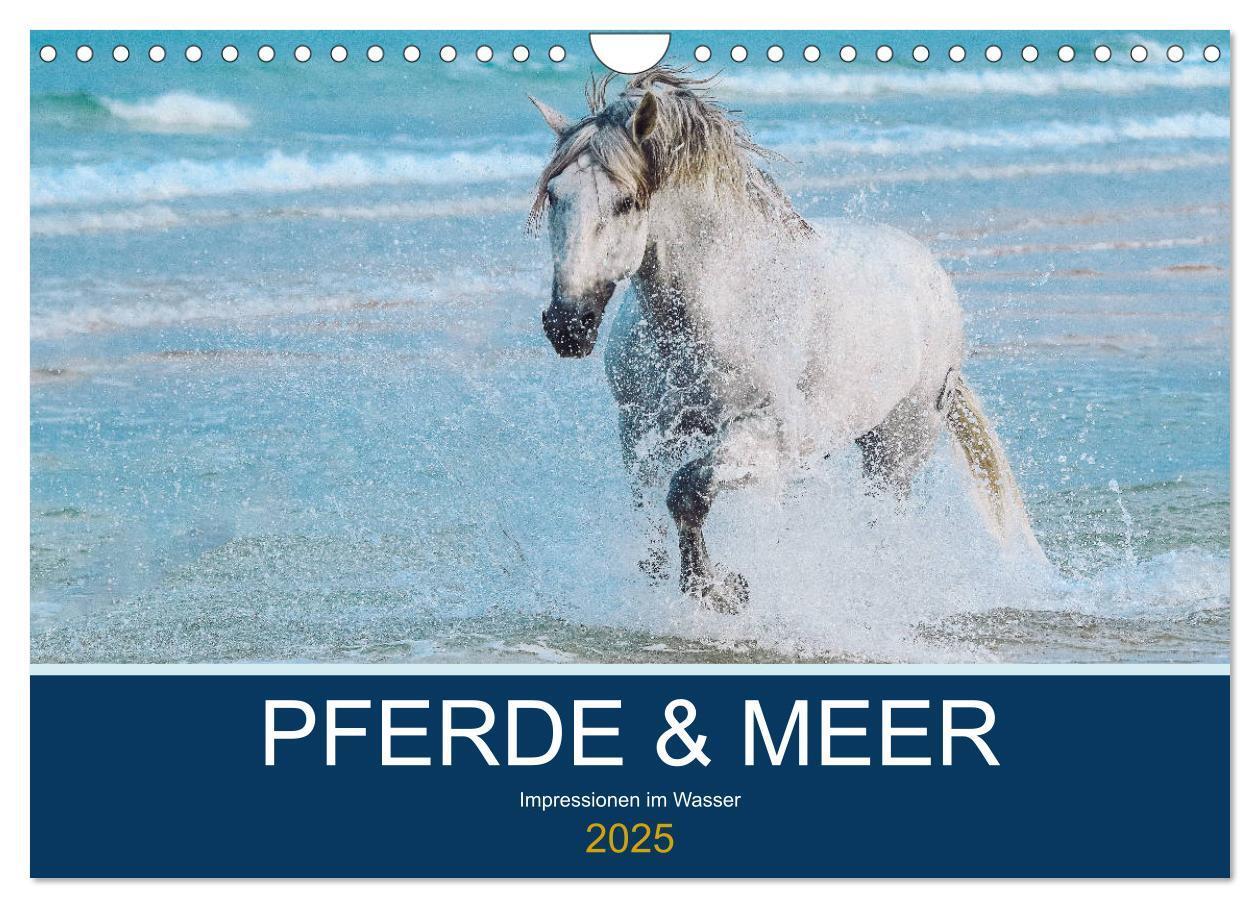 Cover: 9783435216062 | PFERDE &amp; MEER (Wandkalender 2025 DIN A4 quer), CALVENDO Monatskalender