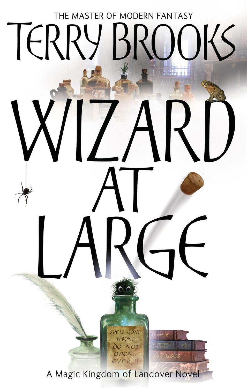 Cover: 9781841495590 | Wizard At Large | Magic Kingdom of Landover Series: Book 03 | Brooks