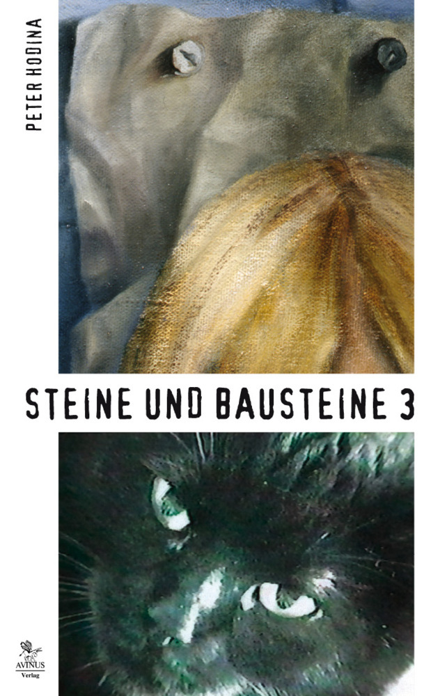 Cover: 9783869380032 | Steine und Bausteine. Bd.3 | Peter Hodina | Taschenbuch | 2015