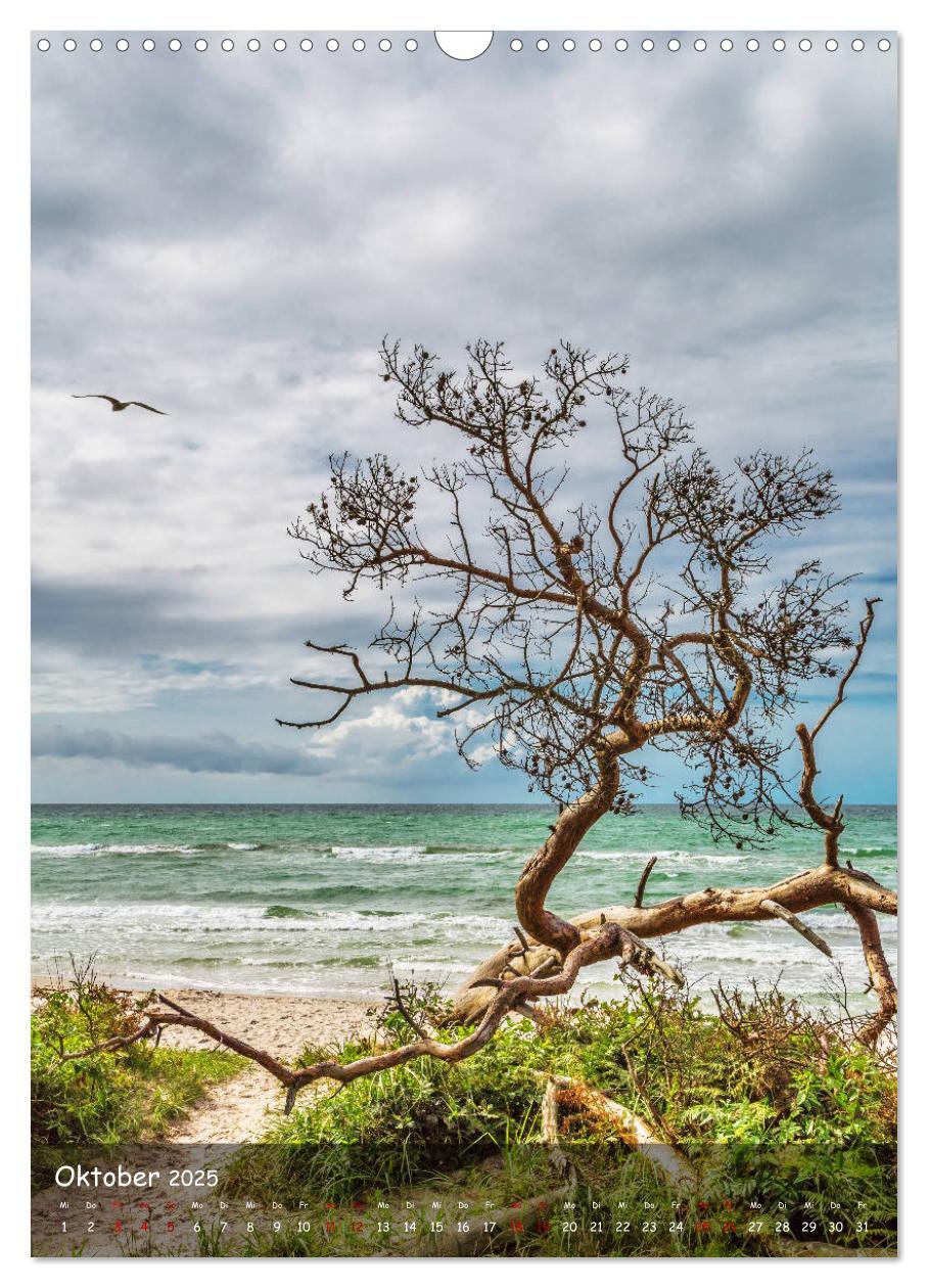 Bild: 9783435956272 | Wunderbare Ostseelandschaft Fischland-Darß-Zingst (Wandkalender...