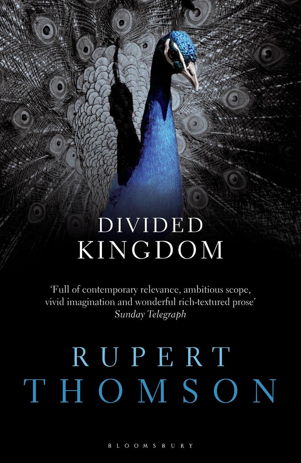 Cover: 9781408833124 | Divided Kingdom | Rupert Thomson | Taschenbuch | 400 S. | Englisch