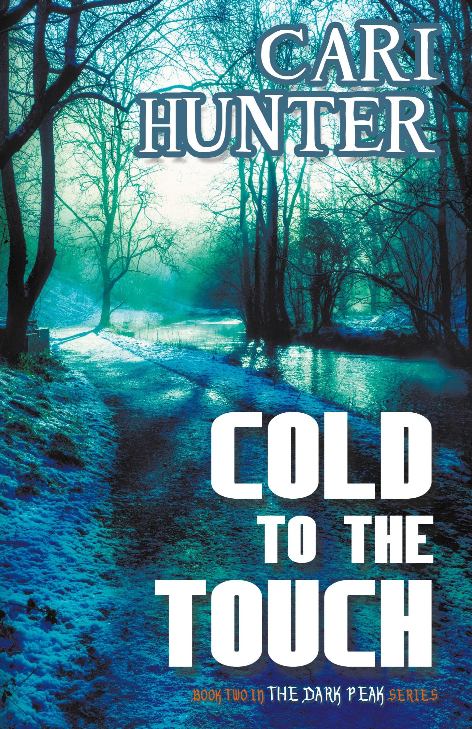 Cover: 9781626395268 | Cold to the Touch | Cari Hunter | Taschenbuch | Englisch | 2015