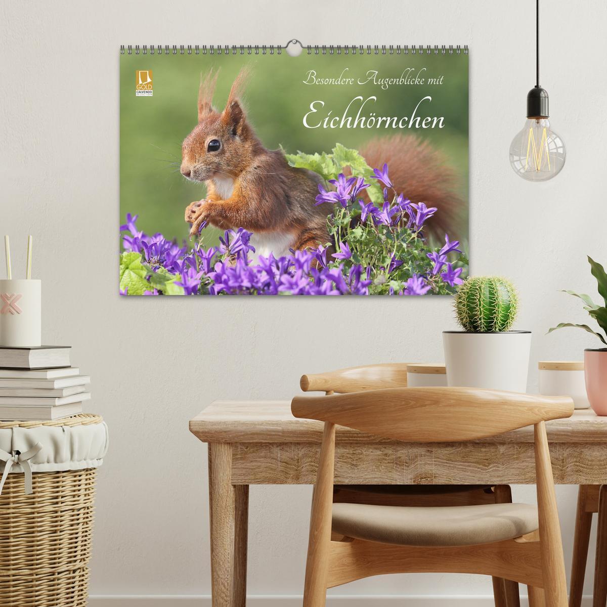 Bild: 9783435566723 | Besondere Augenblicke mit Eichhörnchen (Wandkalender 2025 DIN A3...