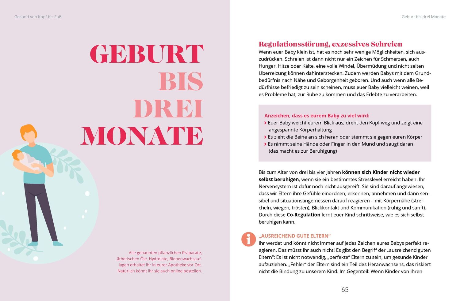 Bild: 9783910509108 | So bleibt dein Baby gesund | Catharina Amarell | Taschenbuch | 192 S.