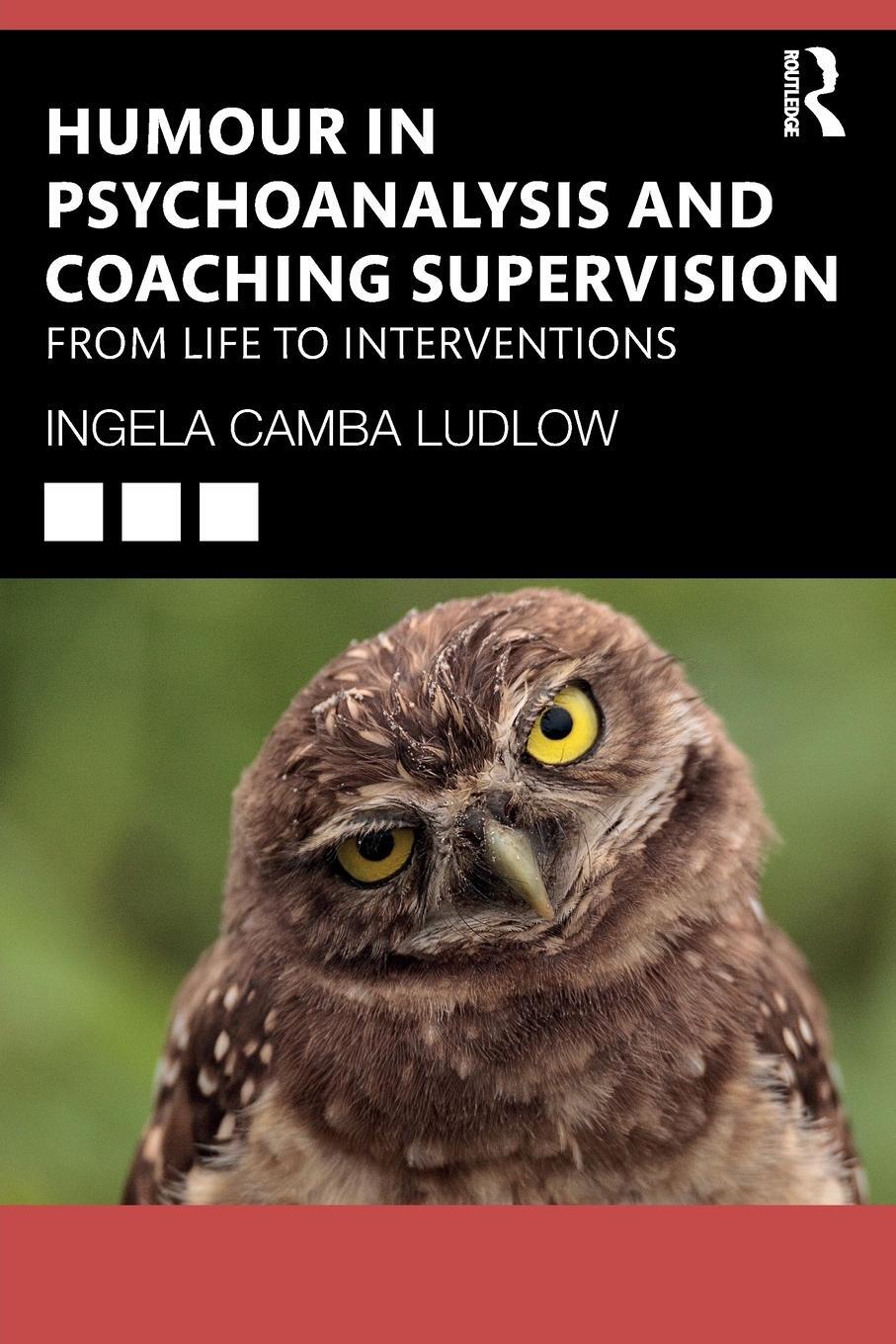 Cover: 9780367723095 | Humour in Psychoanalysis and Coaching Supervision | Ludlow | Buch