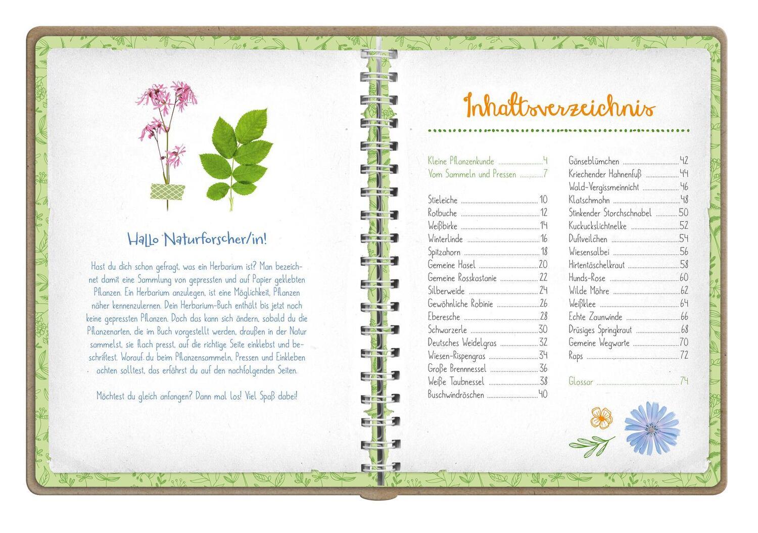 Bild: 9783845856612 | Naturforscher-Kids - Blüten und Blätter entdecken und sammeln | Buch