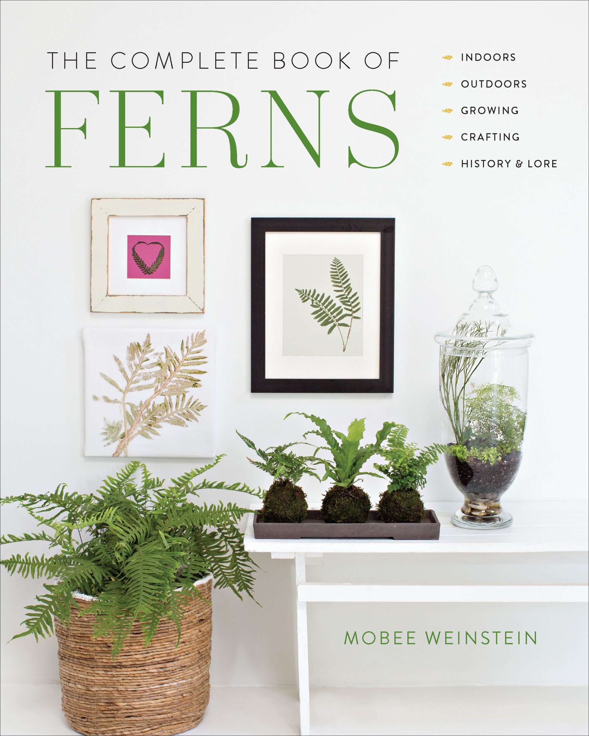 Cover: 9780760374818 | The Complete Book of Ferns | Mobee Weinstein | Taschenbuch | Englisch