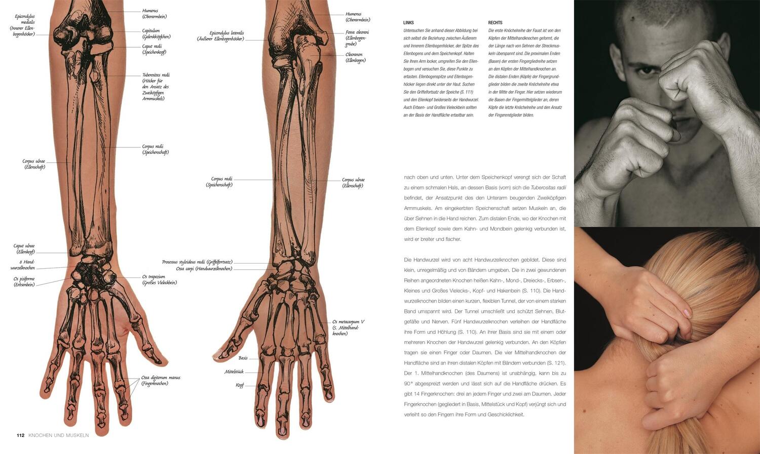 Bild: 9783831042296 | Anatomie für Künstler | Alles über das Aktzeichnen | Sarah Simblet