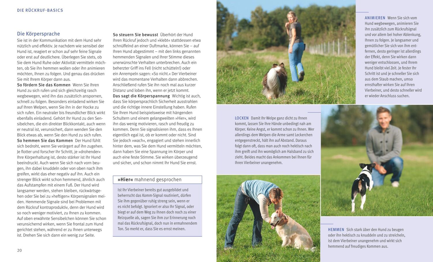 Bild: 9783833848452 | Rückruf-Training für Hunde | So gelingt es Schritt für Schritt | Buch