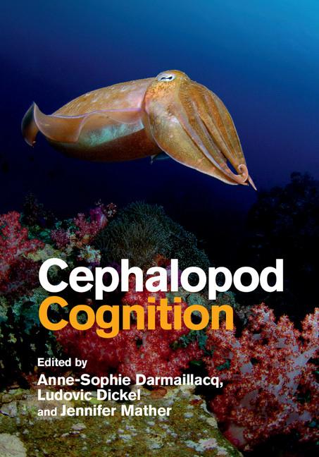 Cover: 9781107015562 | Cephalopod Cognition | Anne-Sophie Darmaillacq (u. a.) | Buch | 2017