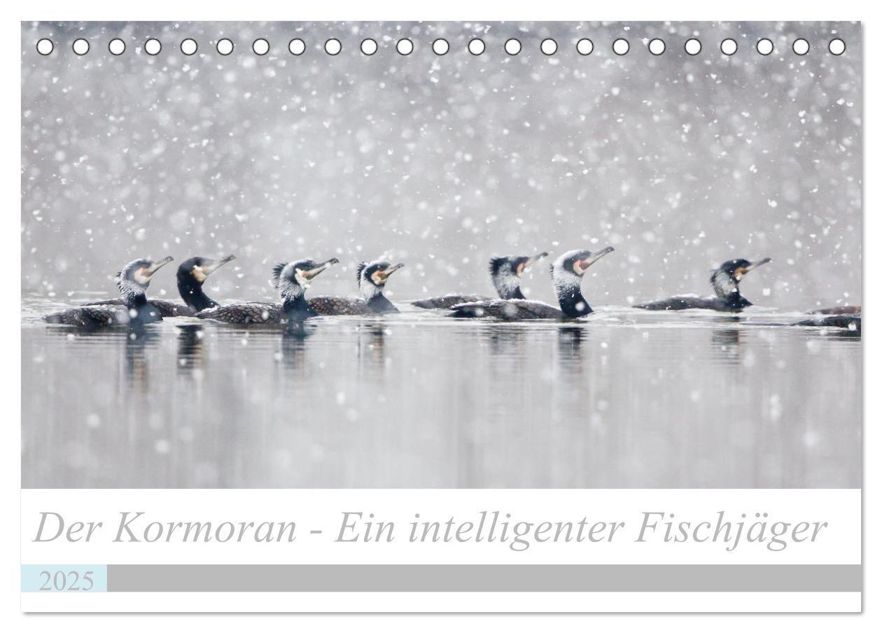 Cover: 9783435054008 | Der Kormoran - Ein intelligenter Fischjäger (Tischkalender 2025 DIN...