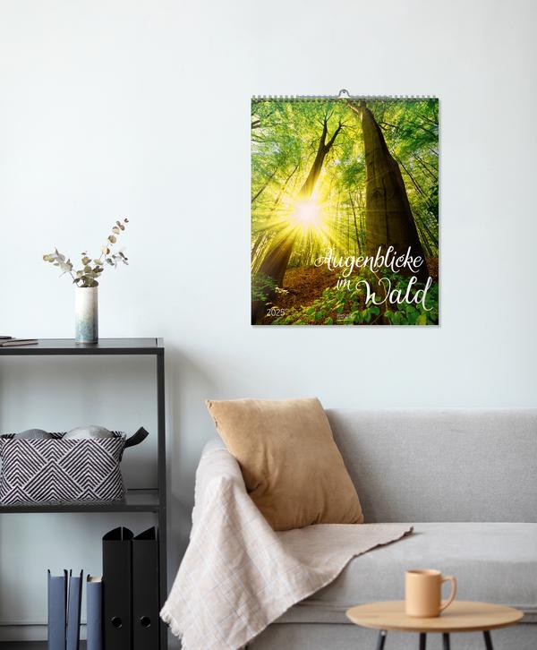 Bild: 9783731879268 | Augenblicke im Wald 2025 | Verlag Korsch | Kalender | Spiralbindung