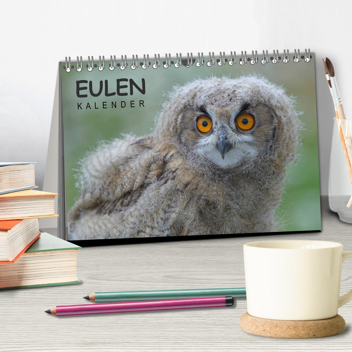 Bild: 9783435694037 | Eulen-Kalender (Tischkalender 2025 DIN A5 quer), CALVENDO...