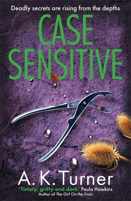 Cover: 9781804180594 | Case Sensitive | A. K. Turner | Taschenbuch | 352 S. | Englisch | 2023