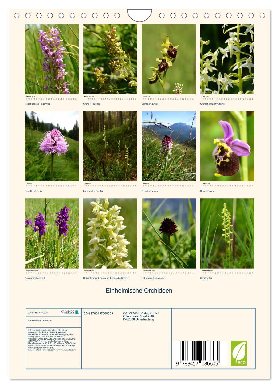 Bild: 9783457086605 | Einheimische Orchideen (Wandkalender 2025 DIN A4 hoch), CALVENDO...