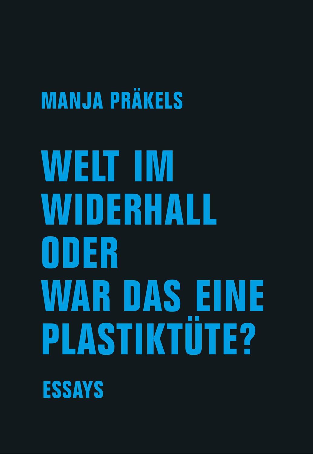 Cover: 9783957325358 | Welt im Widerhall oder war das eine Plastiktüte? | Manja Präkels