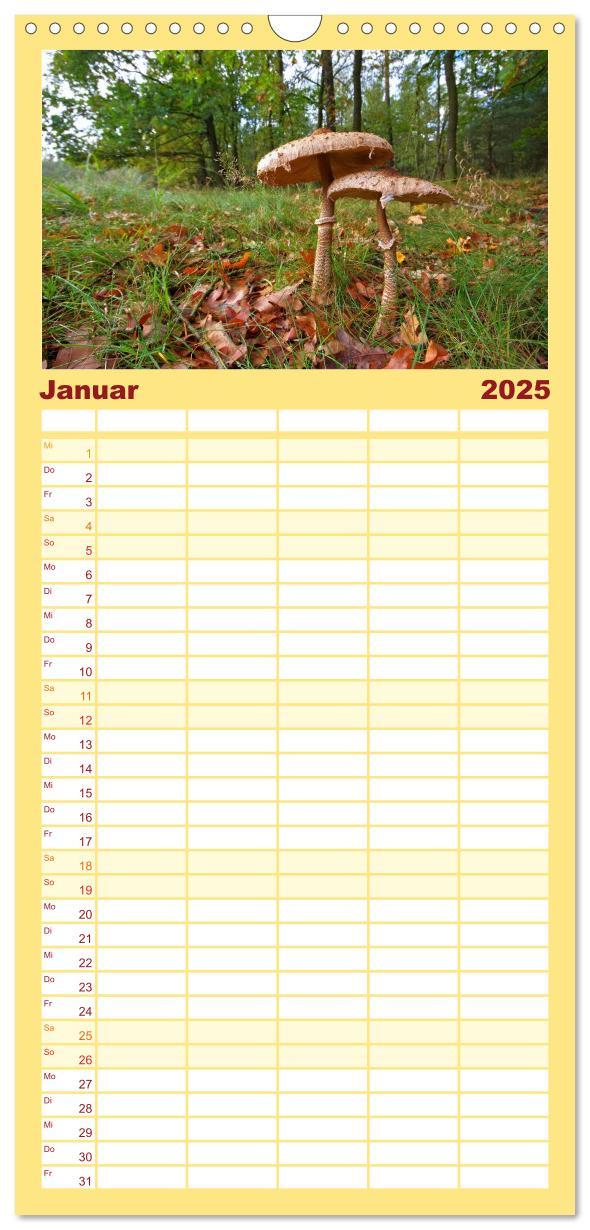 Bild: 9783457104149 | Familienplaner 2025 - Heimische Pilze mit 5 Spalten (Wandkalender,...