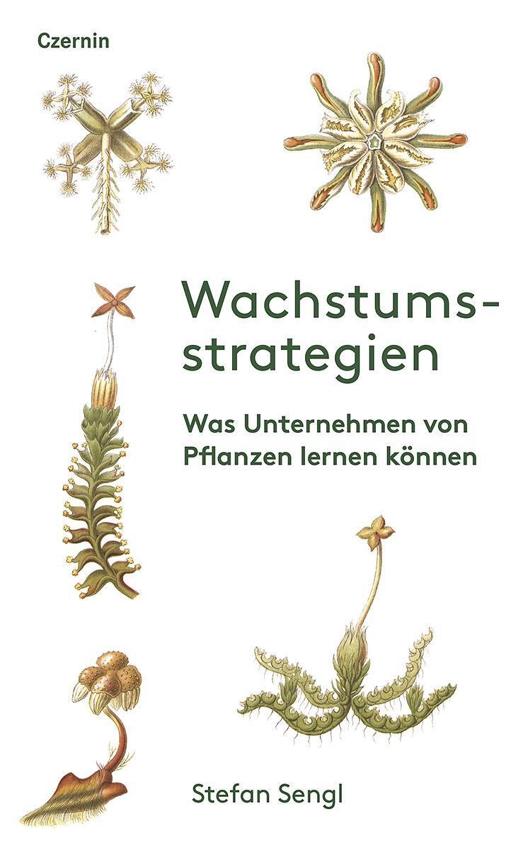 Cover: 9783707605945 | Wachstumsstrategien | Was Unternehmen von Pflanzen lernen können