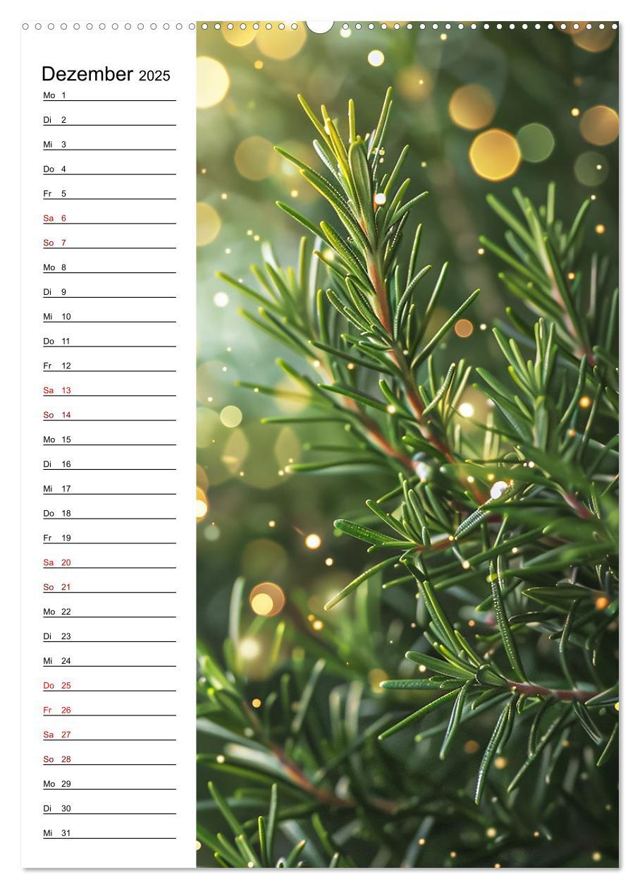 Bild: 9783457140680 | Kräuterfrische (hochwertiger Premium Wandkalender 2025 DIN A2...