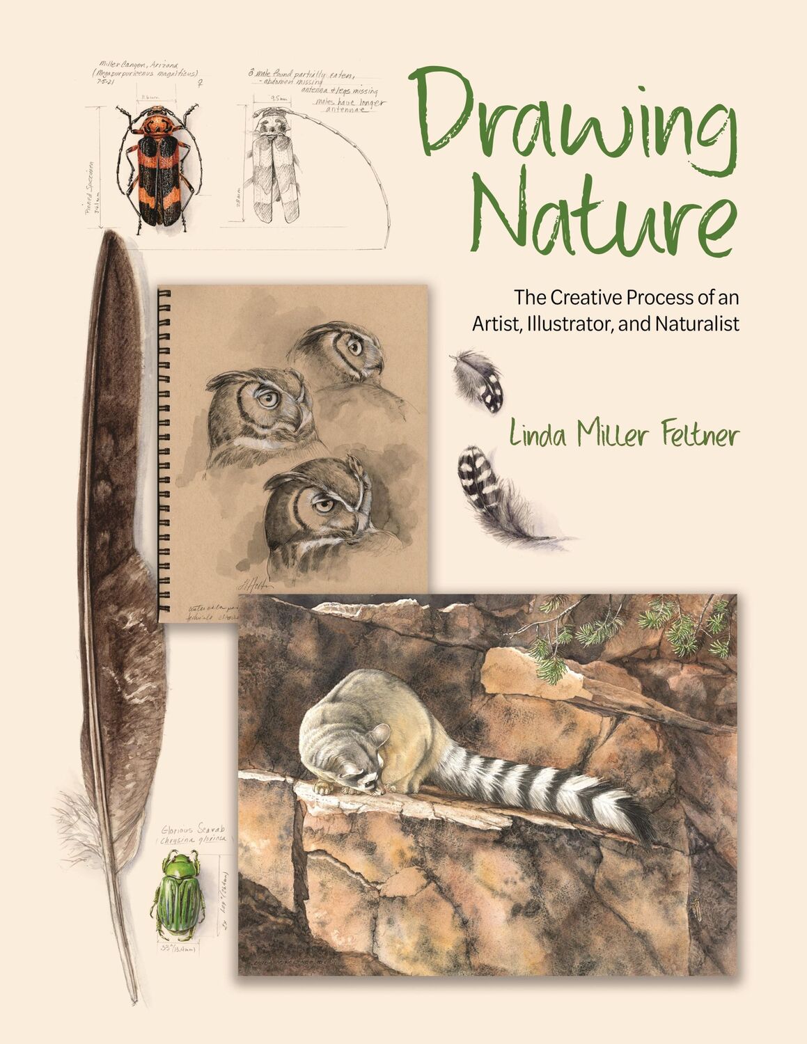 Cover: 9780691255385 | Drawing Nature | Linda Miller Feltner | Buch | Englisch | 2024