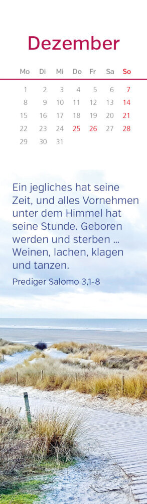 Bild: 9783957482532 | LZ Gedanken aus der Bibel 2025 | Mitbringsel | Kalender | 13 S. | 2025