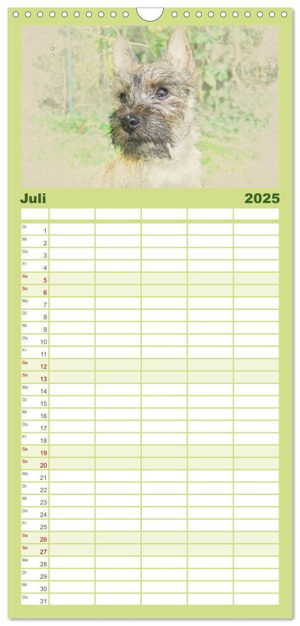 Bild: 9783457121177 | Familienplaner 2025 - Hundewelpen 2025 mit 5 Spalten (Wandkalender,...