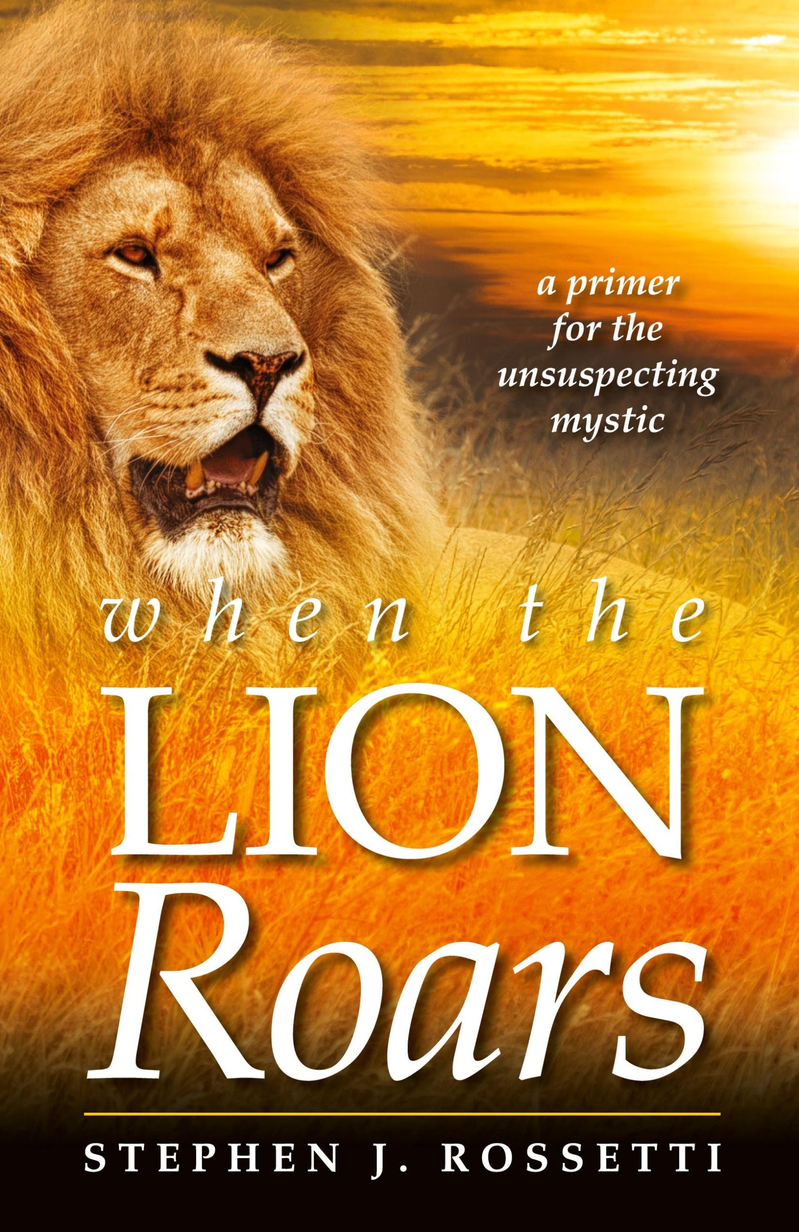 Cover: 9798218132552 | When the Lion Roars | Stephen J Rossetti | Taschenbuch | Englisch