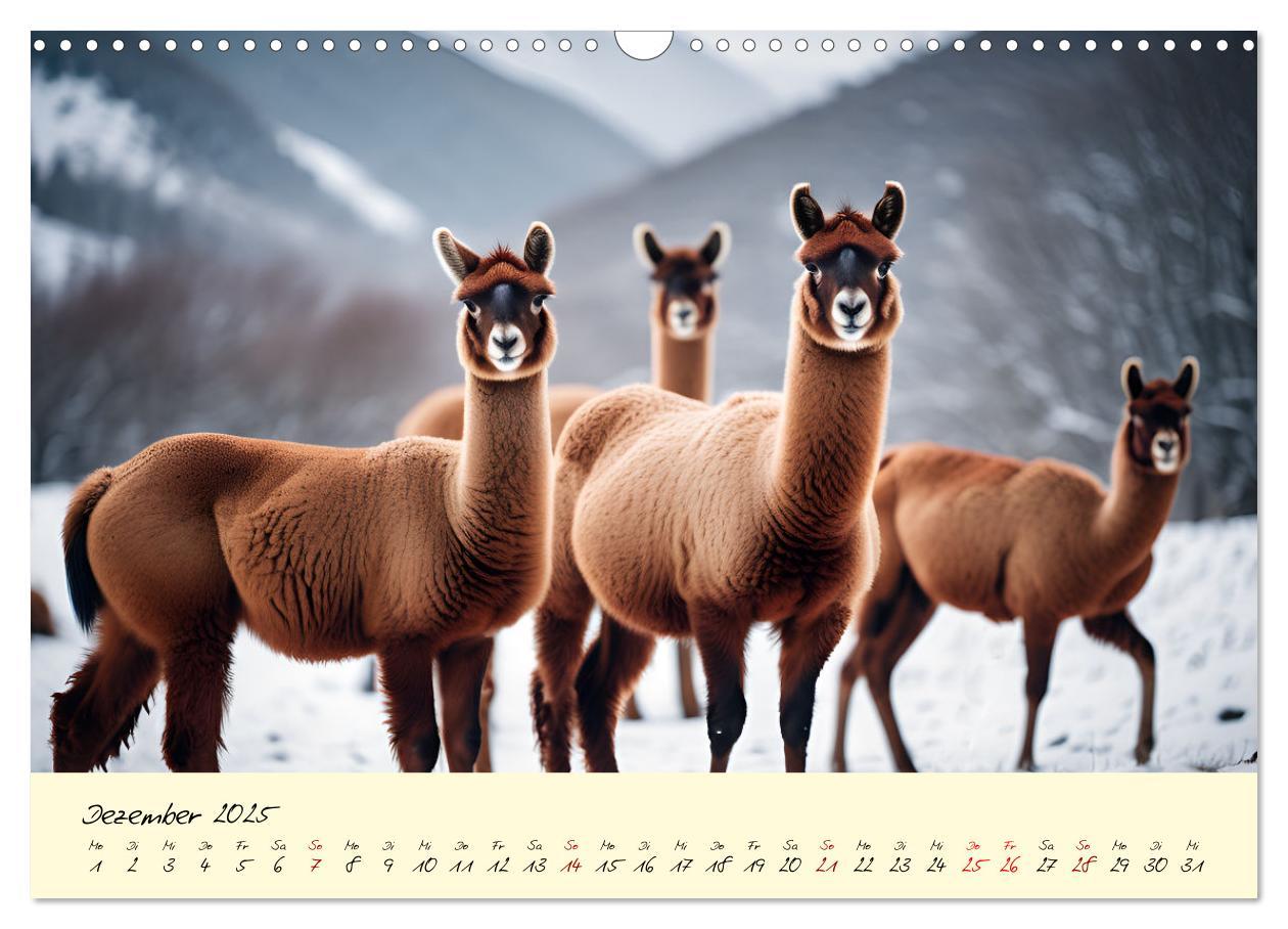 Bild: 9783457189399 | Alpakas, die sanften Andenbewohner (Wandkalender 2025 DIN A3 quer),...