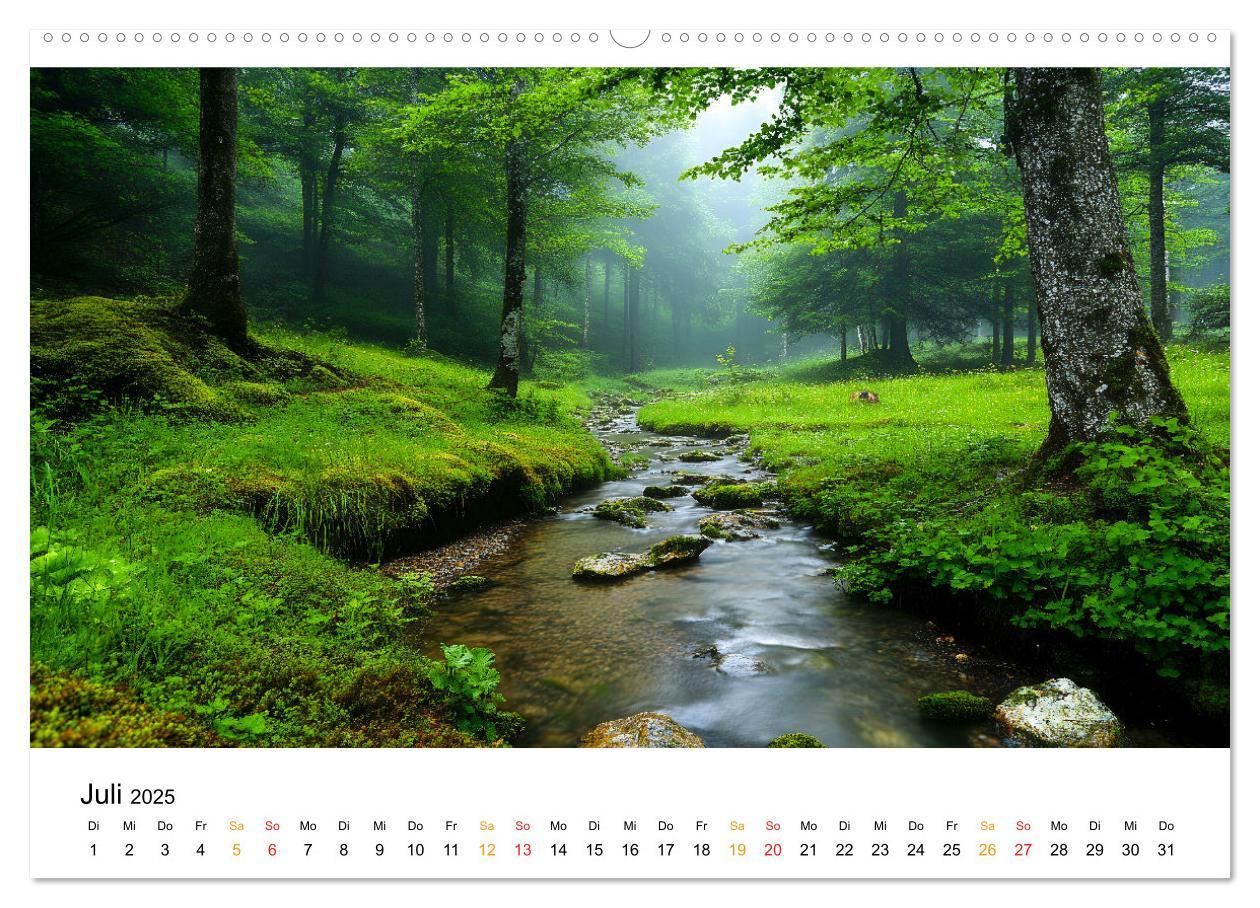 Bild: 9783457224816 | Mystik der Wälder (hochwertiger Premium Wandkalender 2025 DIN A2...