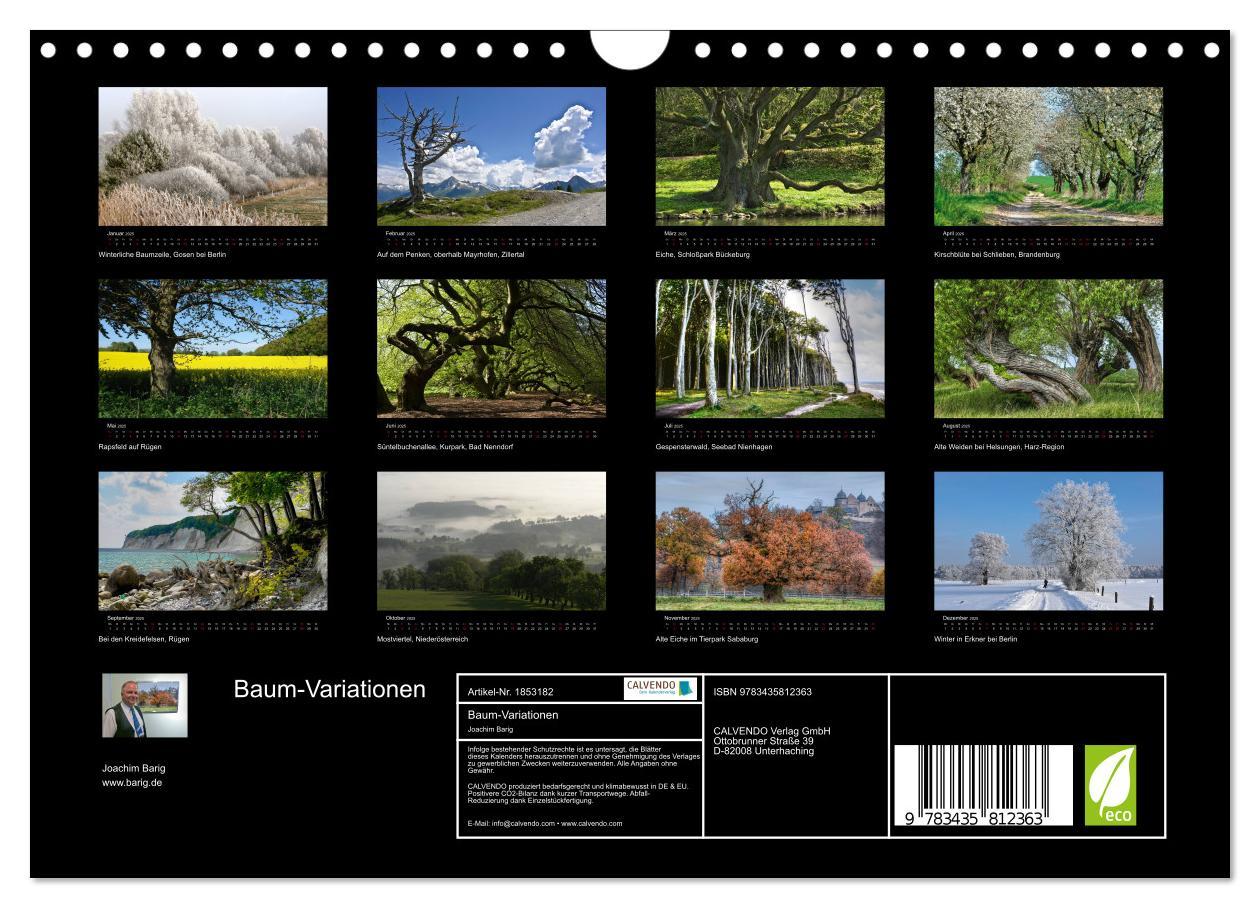 Bild: 9783435812363 | Baum-Variationen (Wandkalender 2025 DIN A4 quer), CALVENDO...