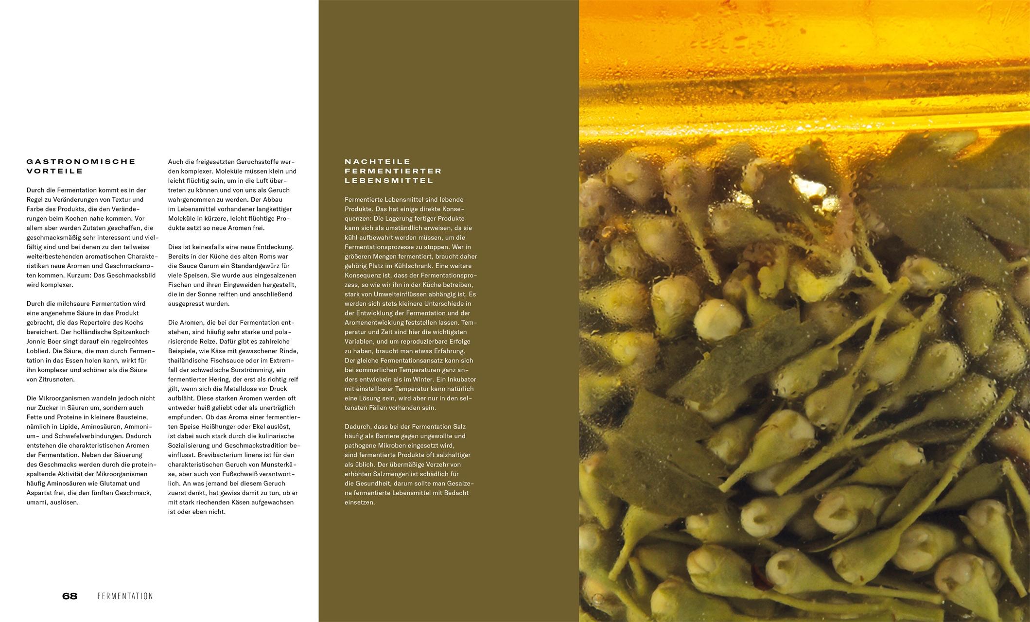 Bild: 9783985410507 | Fermentation | Heiko Antoniewicz (u. a.) | Buch | 240 S. | Deutsch