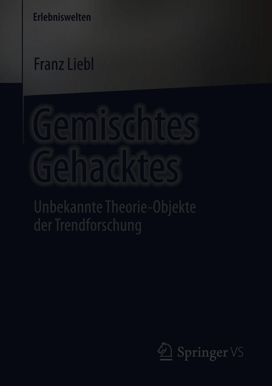 Cover: 9783658244101 | Gemischtes Gehacktes | Unbekannte Theorie-Objekte der Trendforschung