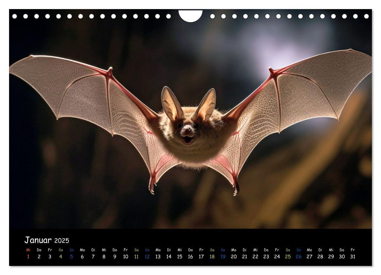 Bild: 9783457184219 | Fledermäuse - kleine Vampire (Wandkalender 2025 DIN A4 quer),...