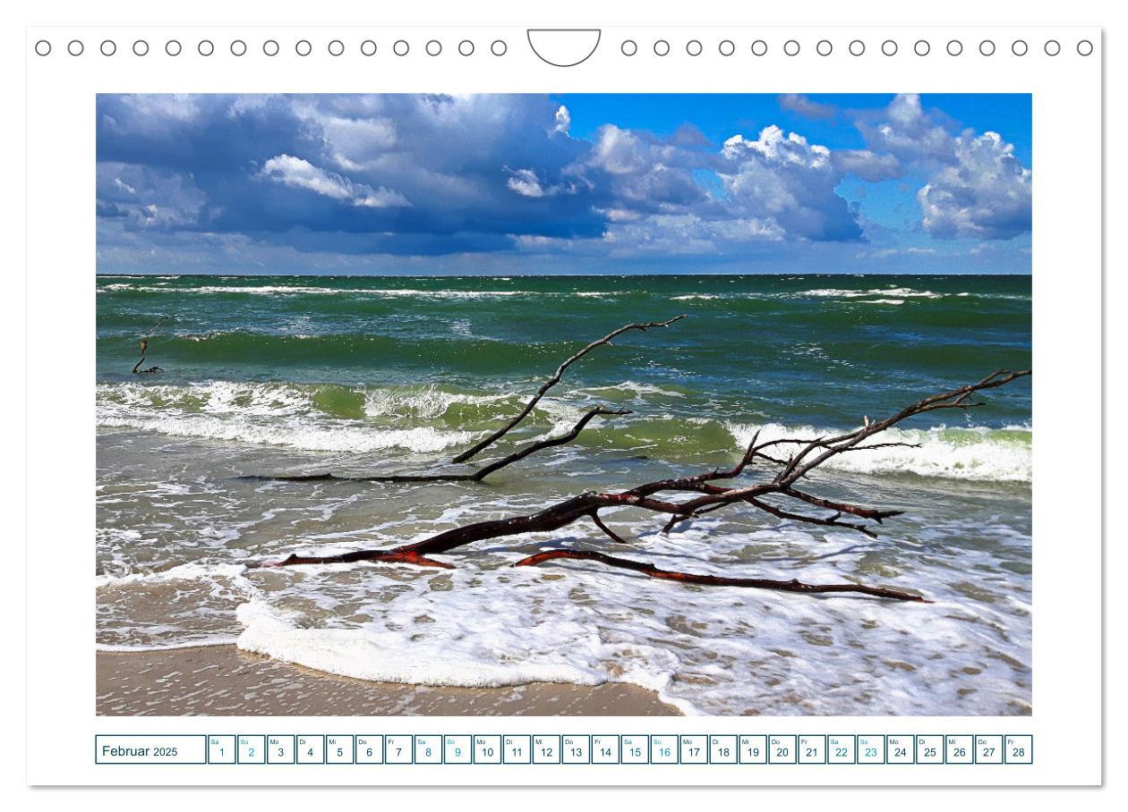 Bild: 9783457242131 | Der Weststrand am Darß (Wandkalender 2025 DIN A4 quer), CALVENDO...