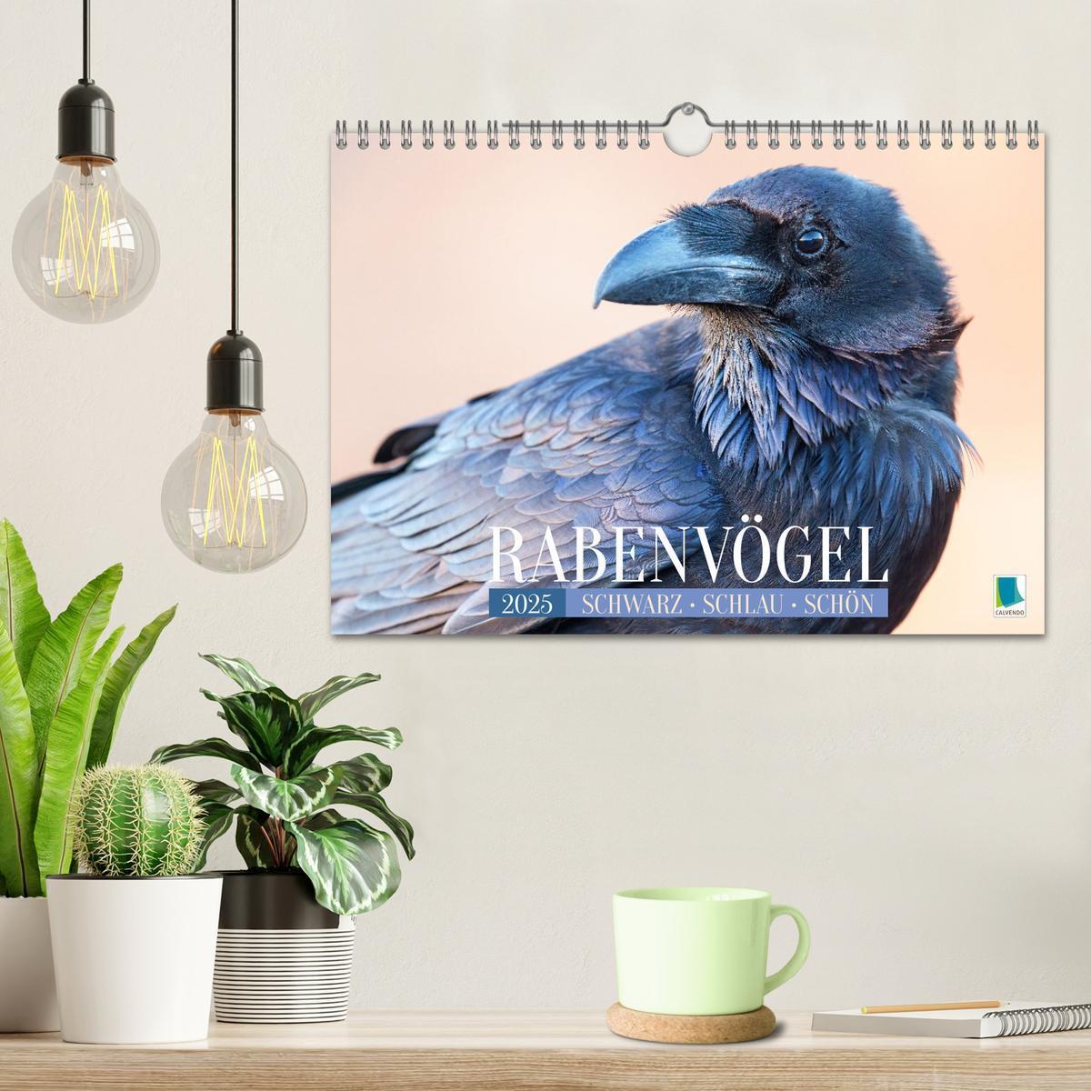 Bild: 9783383776601 | Rabenvögel: Schwarz, schlau, schön (Wandkalender 2025 DIN A4 quer),...