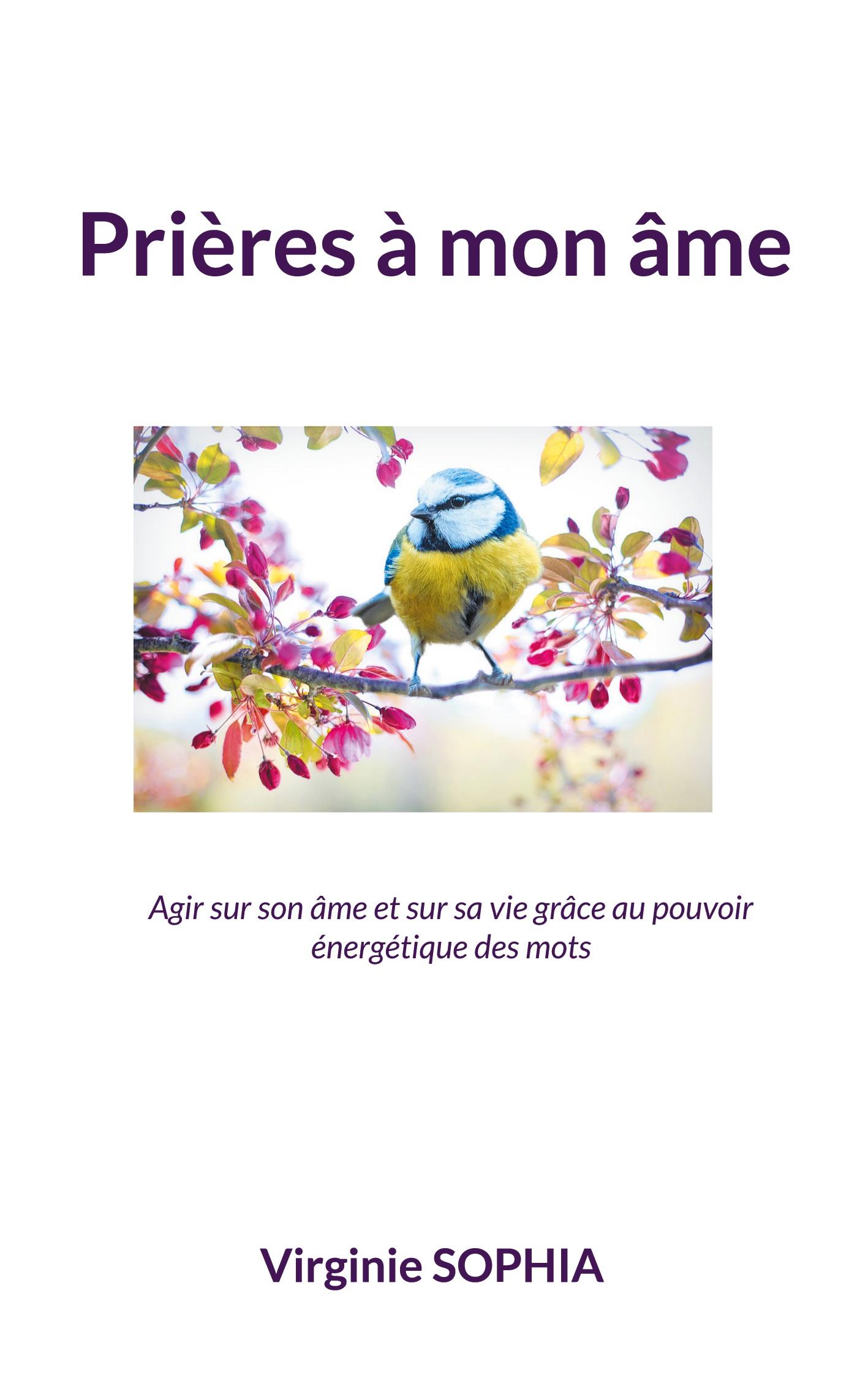 Cover: 9782322504992 | Prières à mon âme | Virginie Sophia | Taschenbuch | Paperback | 2023