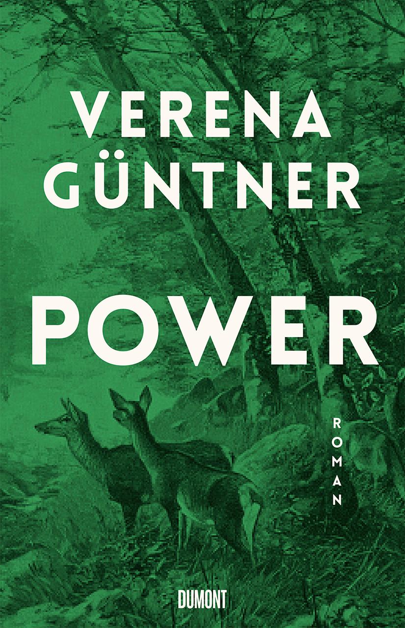 Cover: 9783832183691 | Power | Roman | Verena Güntner | Buch | 254 S. | Deutsch | 2020