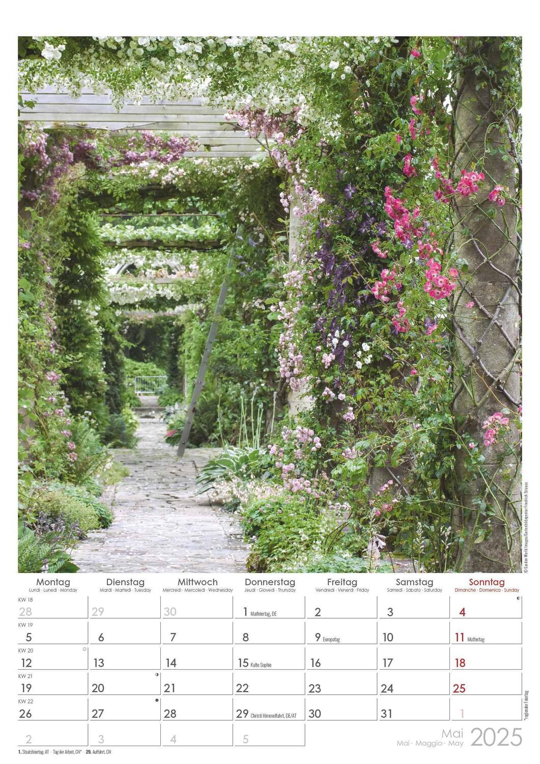 Bild: 4251732342005 | Traumgärten 2025 - Bildkalender A3 (29,7x42 cm) - Beautiful Gardens...